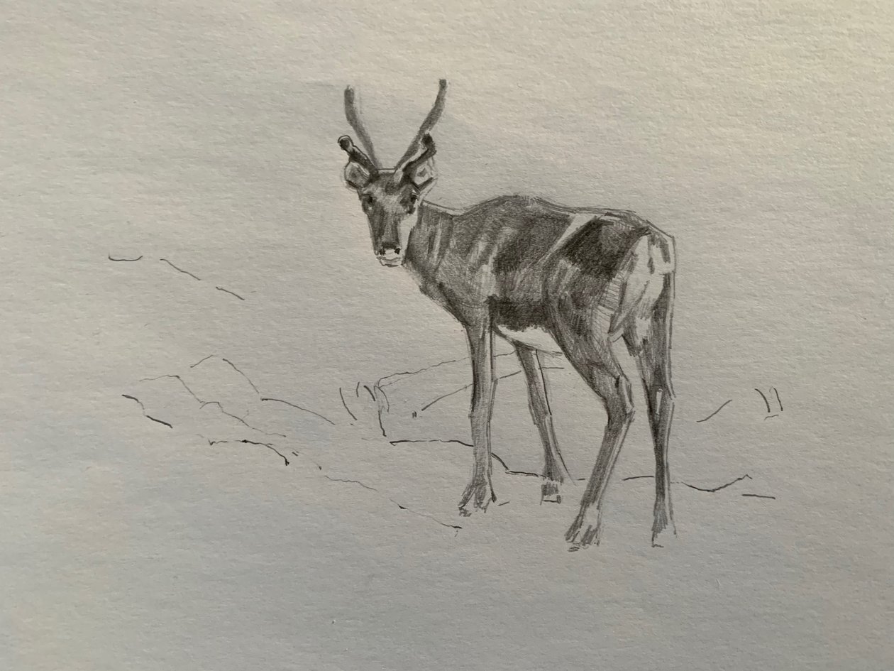 Rensdyr, 2019 af Barbara Hoogeweegen