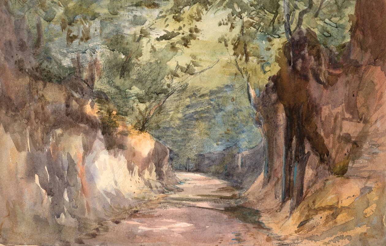 Indgang til Scalands Gate (akvarel og grafit på vævet papir) af Barbara Leigh Smith Bodichon