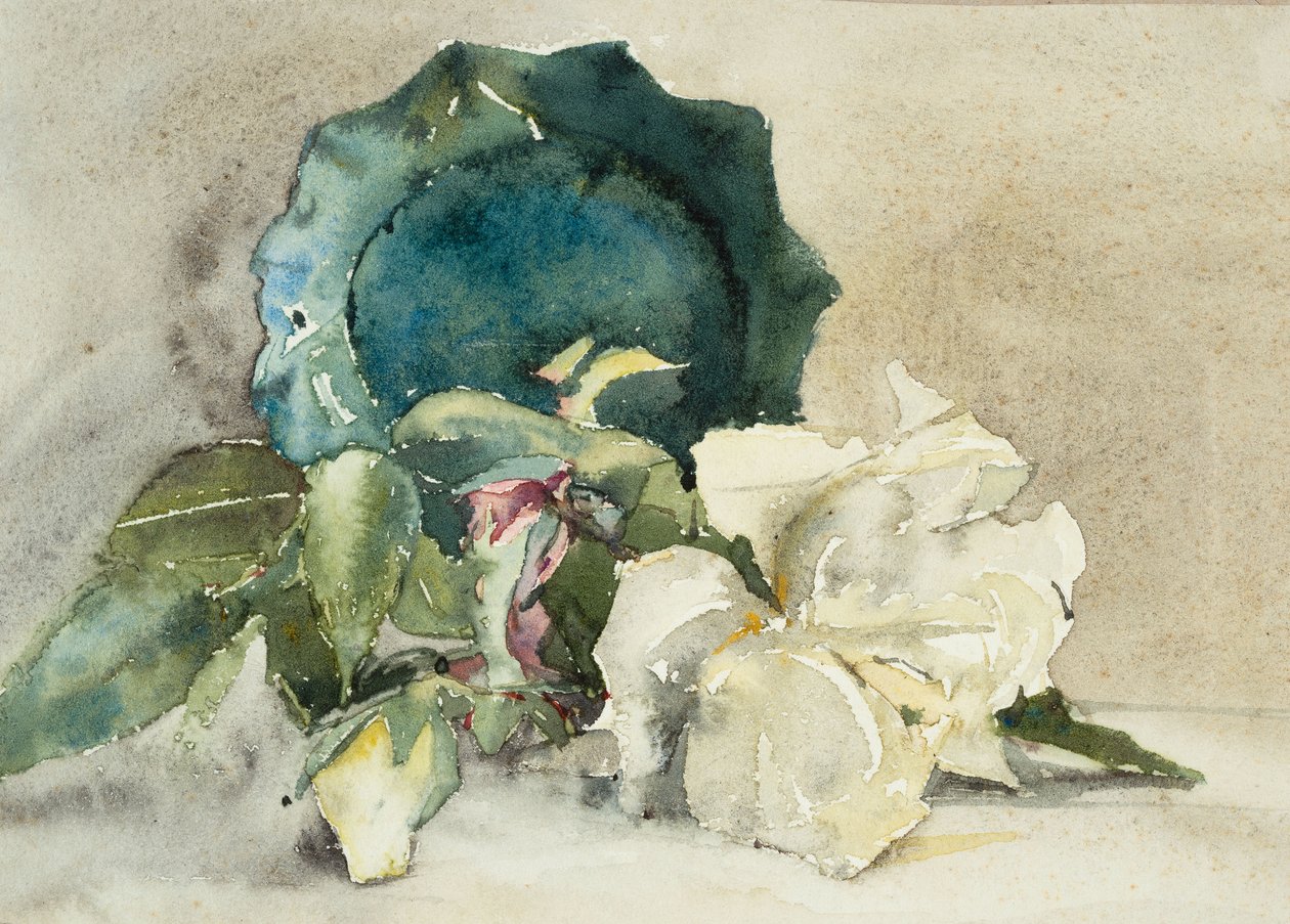 Blomster og potte på siden (akvarel på papir) af Barbara Leigh Smith Bodichon