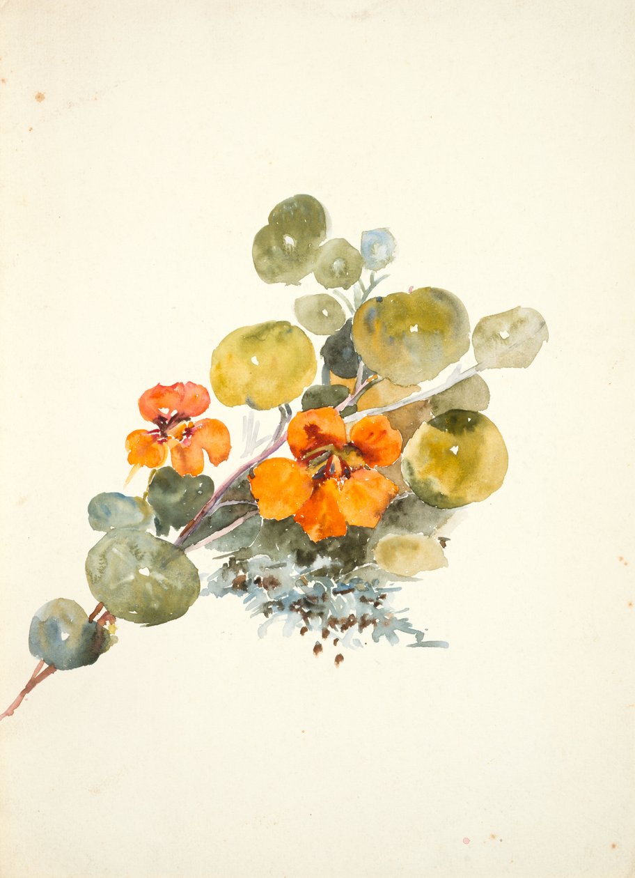 Nasturtiums (akvarel på vævet papir) af Barbara Leigh Smith Bodichon