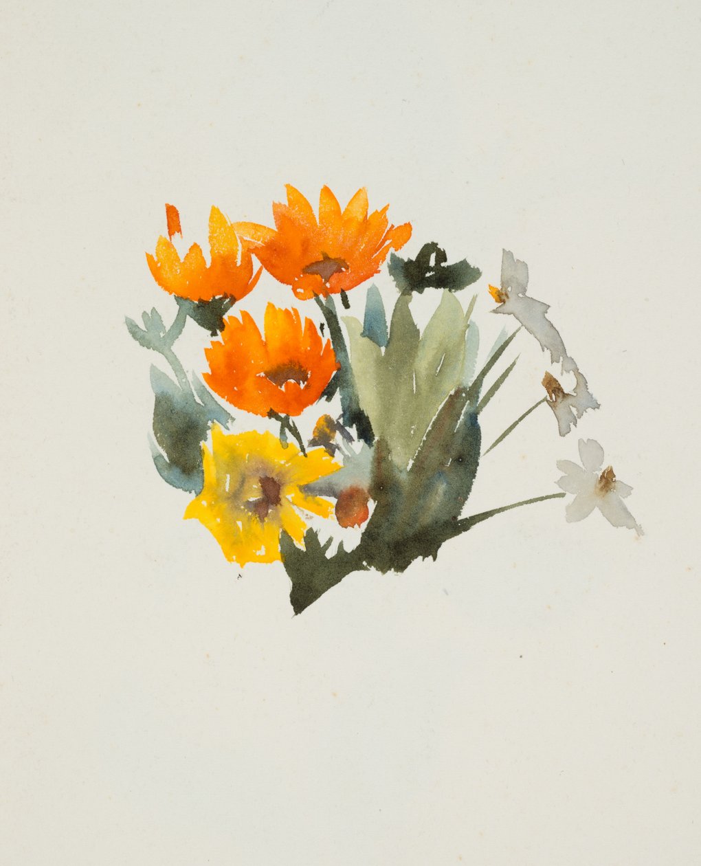 Orange blomster (akvarel og grafit på vævet papir) af Barbara Leigh Smith Bodichon
