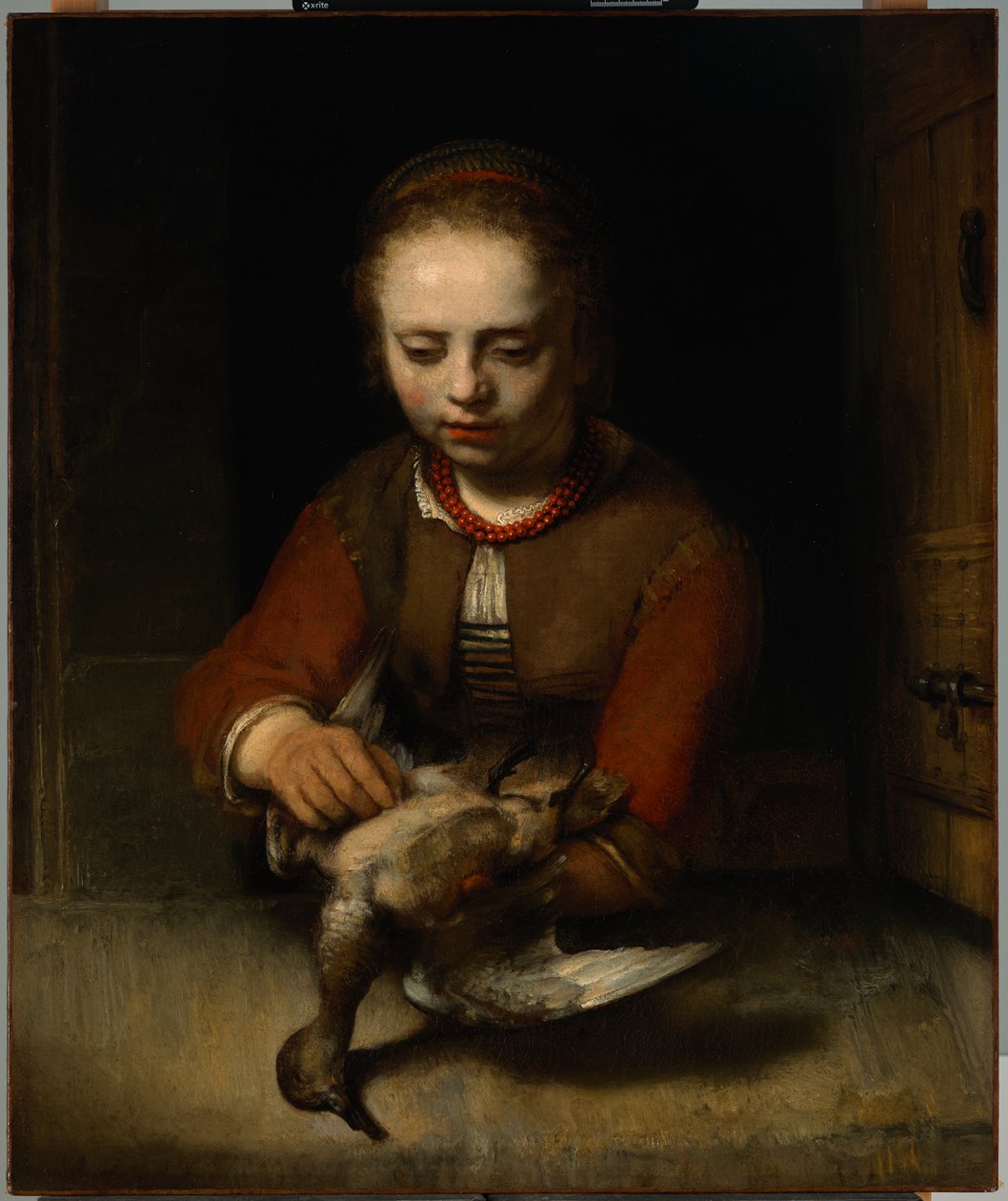 Ung pige, der plukker en and, c.1650 (olie på lærred) af Barent Fabritius