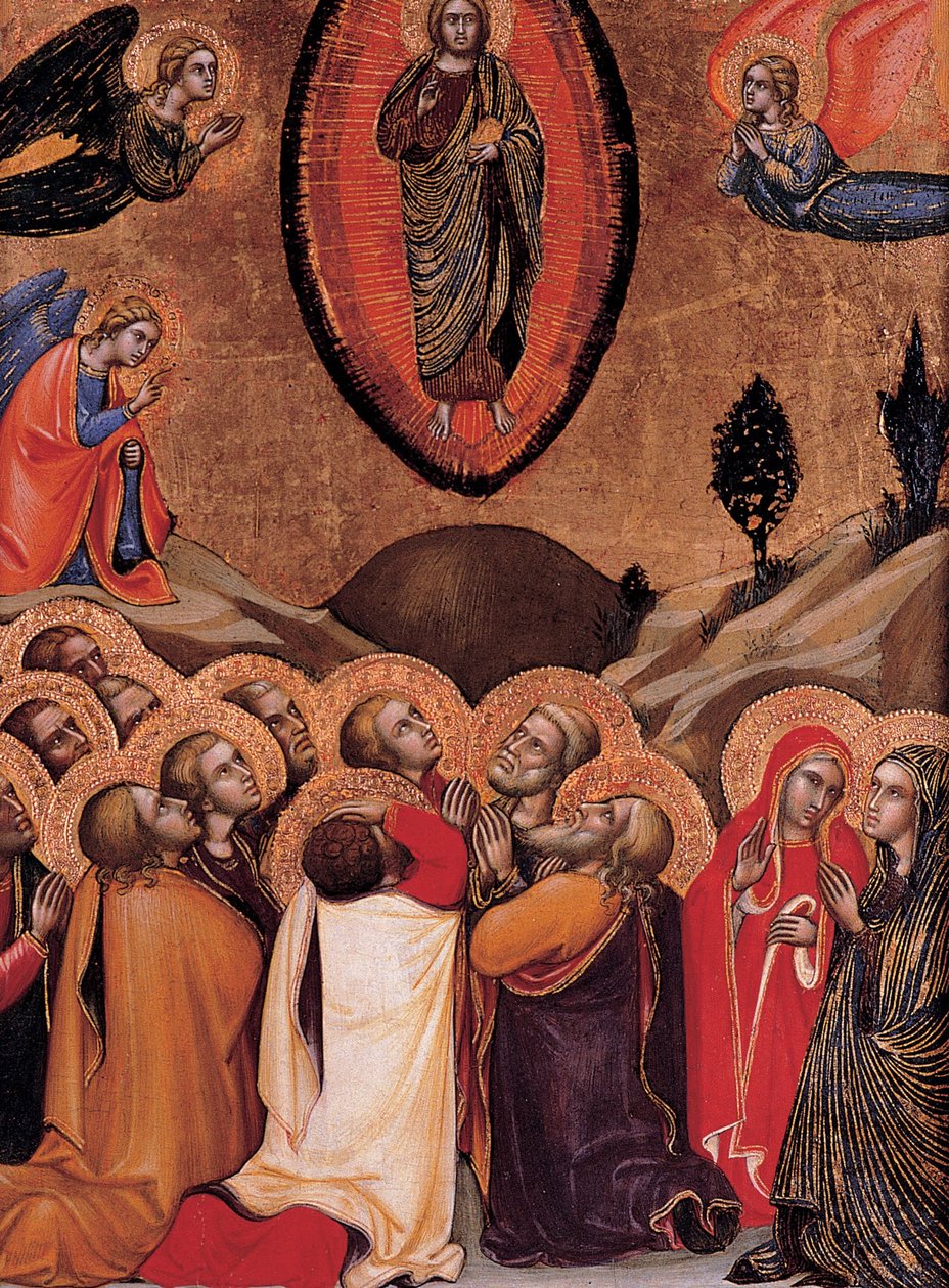 Himmelfarten af Barnaba da Modena