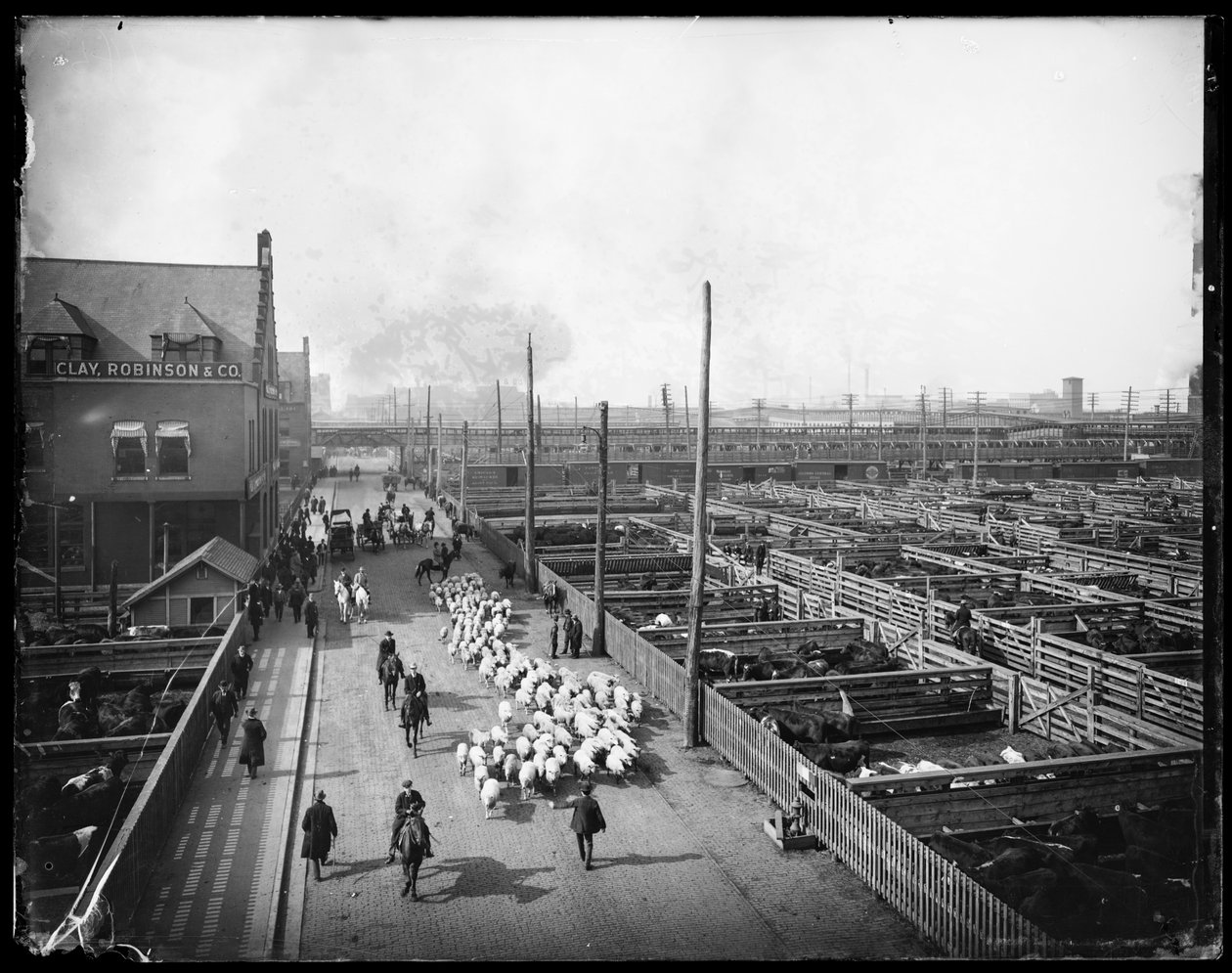 Union Stock Yards., Chicago, Illinois, USA, ca. 1910 (s/h-billede) af Barnes and Crosby