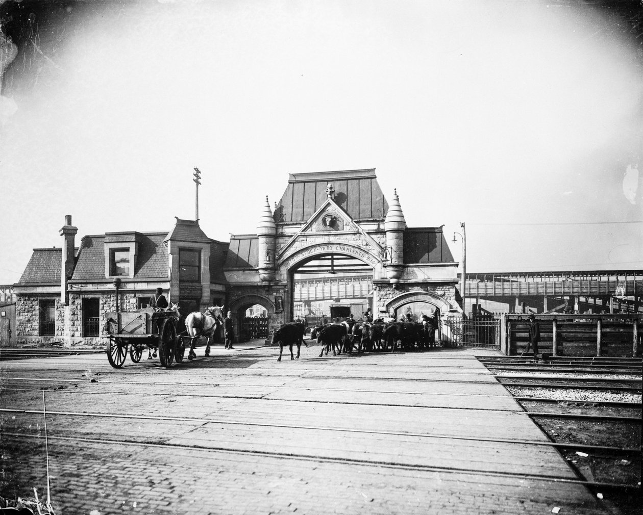 Union Stock Yards gate på Exchange Avenue, Chicago, Illinois, USA, ca. 1905 (s/h-foto) af Barnes and Crosby
