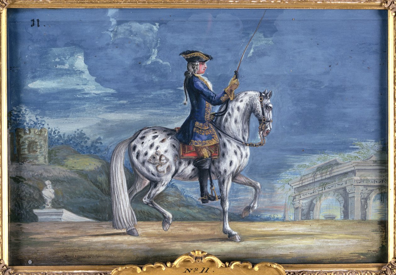 Nr. 11 En appaloosa-hest fra den spanske rideskole, fra det kejserlige stutteri i Bøhmen (wc på papir) af Baron Reis Eisenberg
