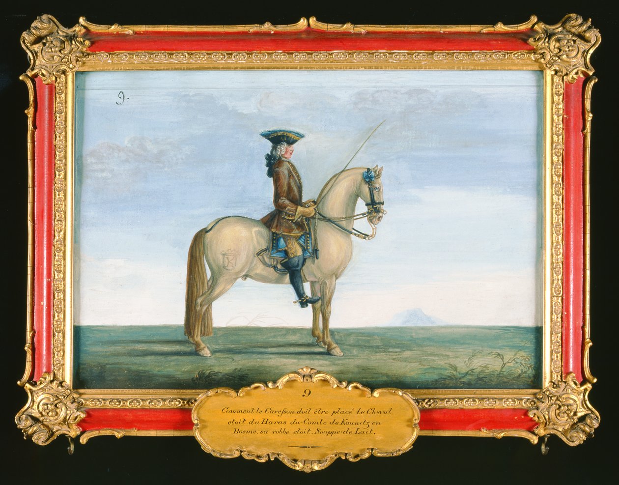 Nr. 9 En grå hest fra den spanske rideskole, fra stutteriet af greven af Kaunitz i Bøhmen (wc på papir) af Baron Reis Eisenberg