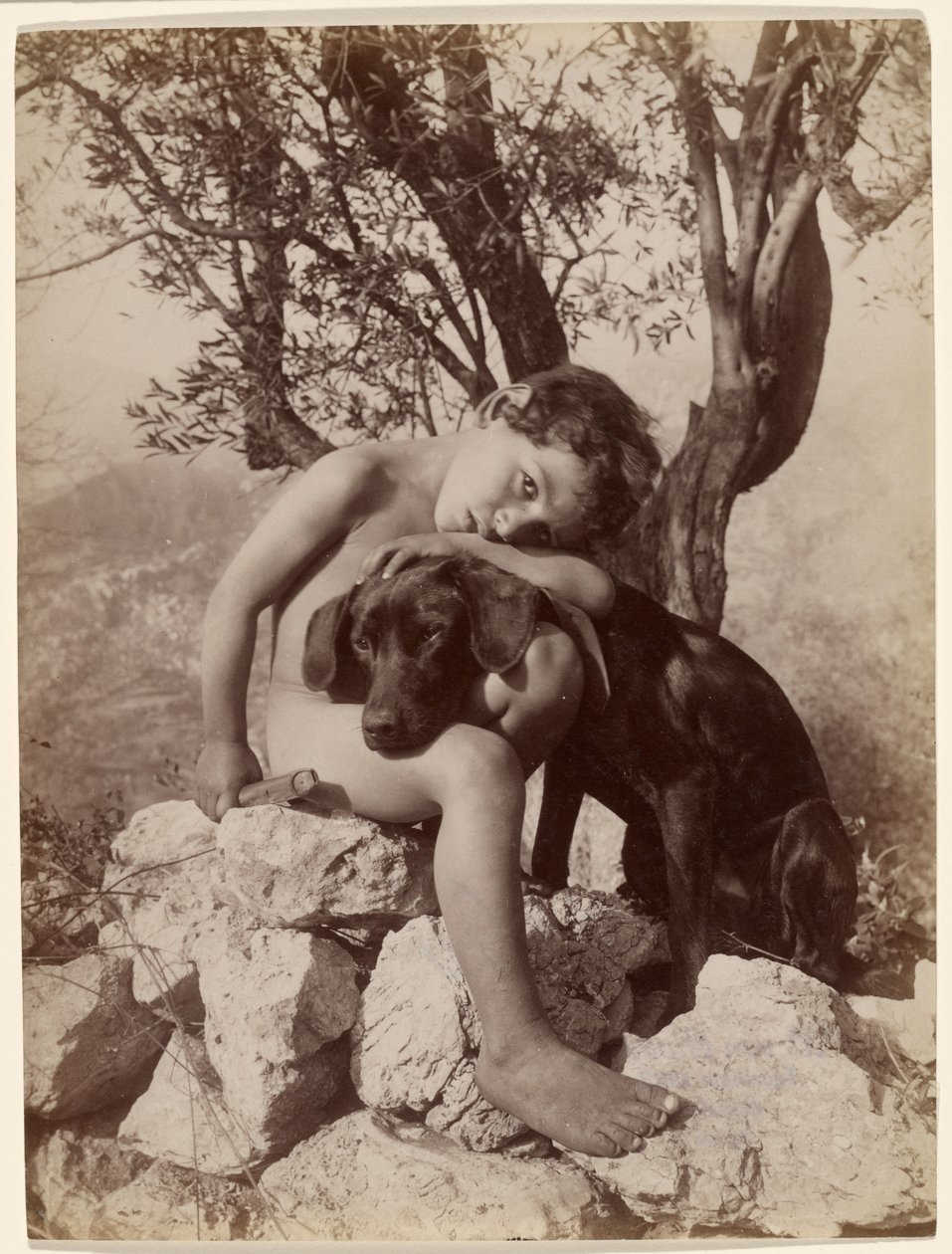 [Ung nøgen dreng og hund] af Baron Wilhelm von Gloeden