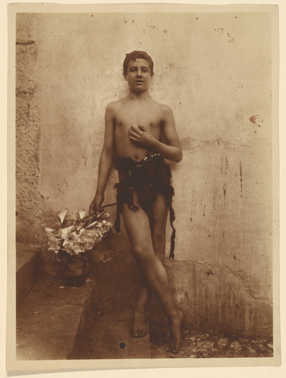 [Ungdom med liljer] af Baron Wilhelm von Gloeden