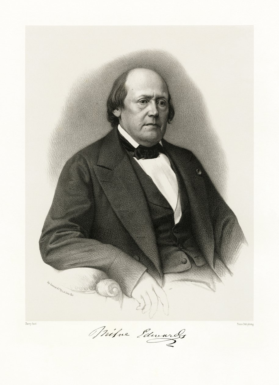 Henri Milne Edwards, 1865-66 af Barry