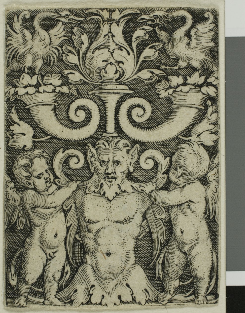 Ornament med en mandlig halvlængde mellem to genier af Barthel Beham