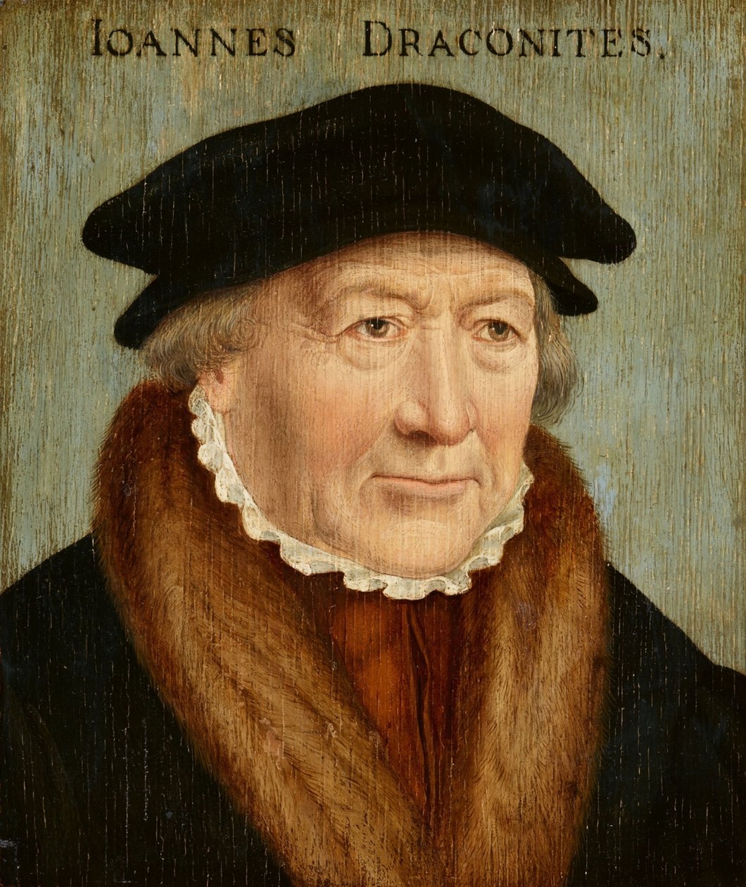 Portræt af Johannes Draconites af Bartholomaeus Bruyn the Elder