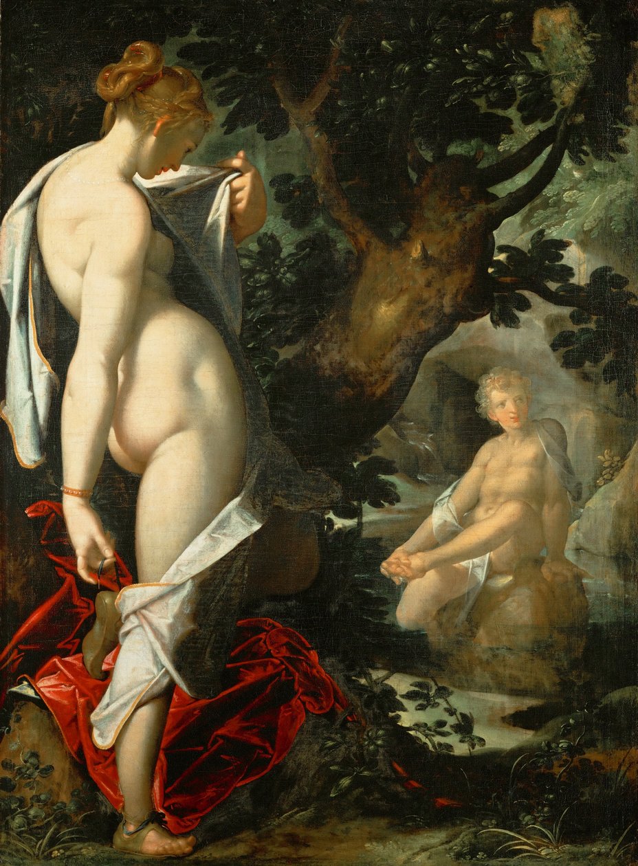 Tysk: Hermaphroditus und die Nymphe Salmacis Hermaphroditus og nymfen Salmacis af Bartholomeus Spranger