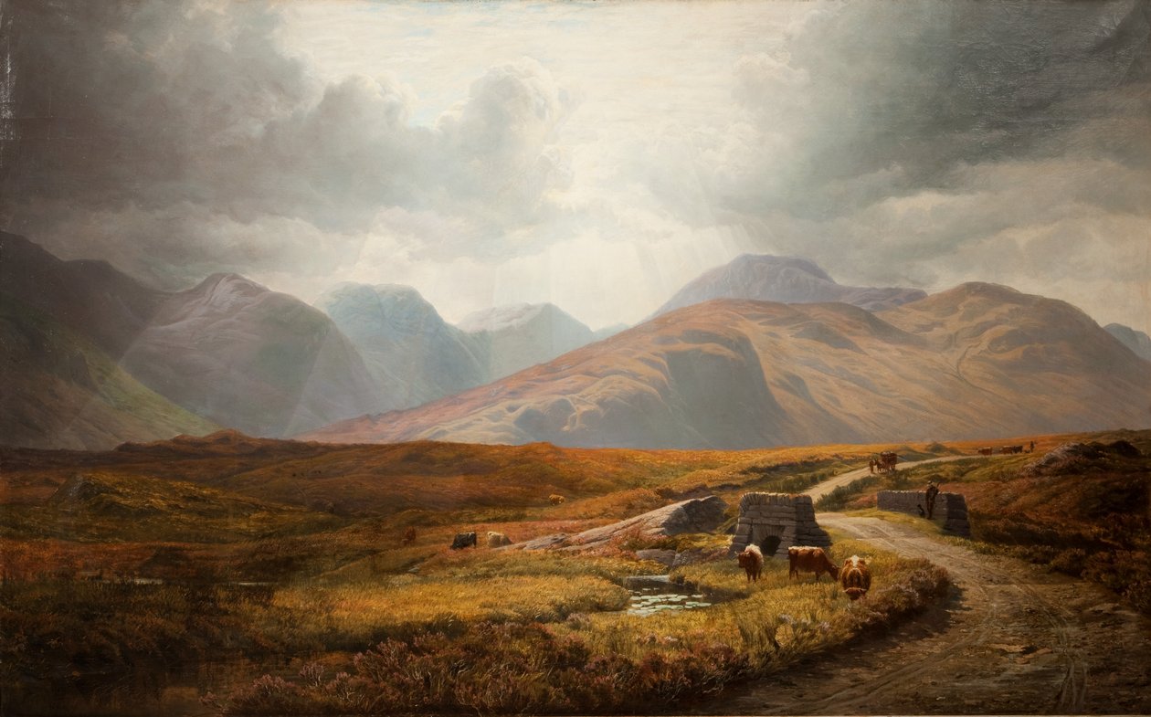 Connemara af Bartholomew Colles Watkins