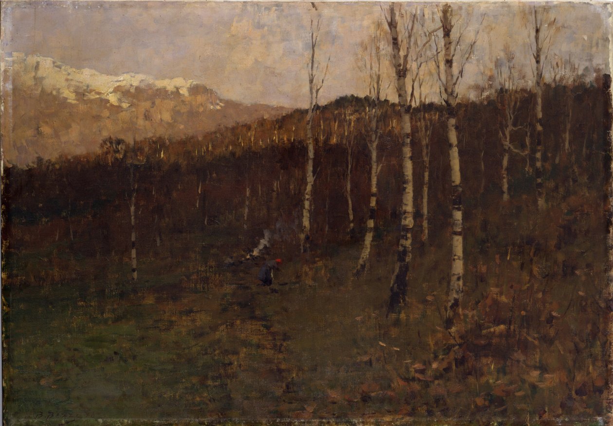 Coppice Birch skov af Bartolomeo Bezzi