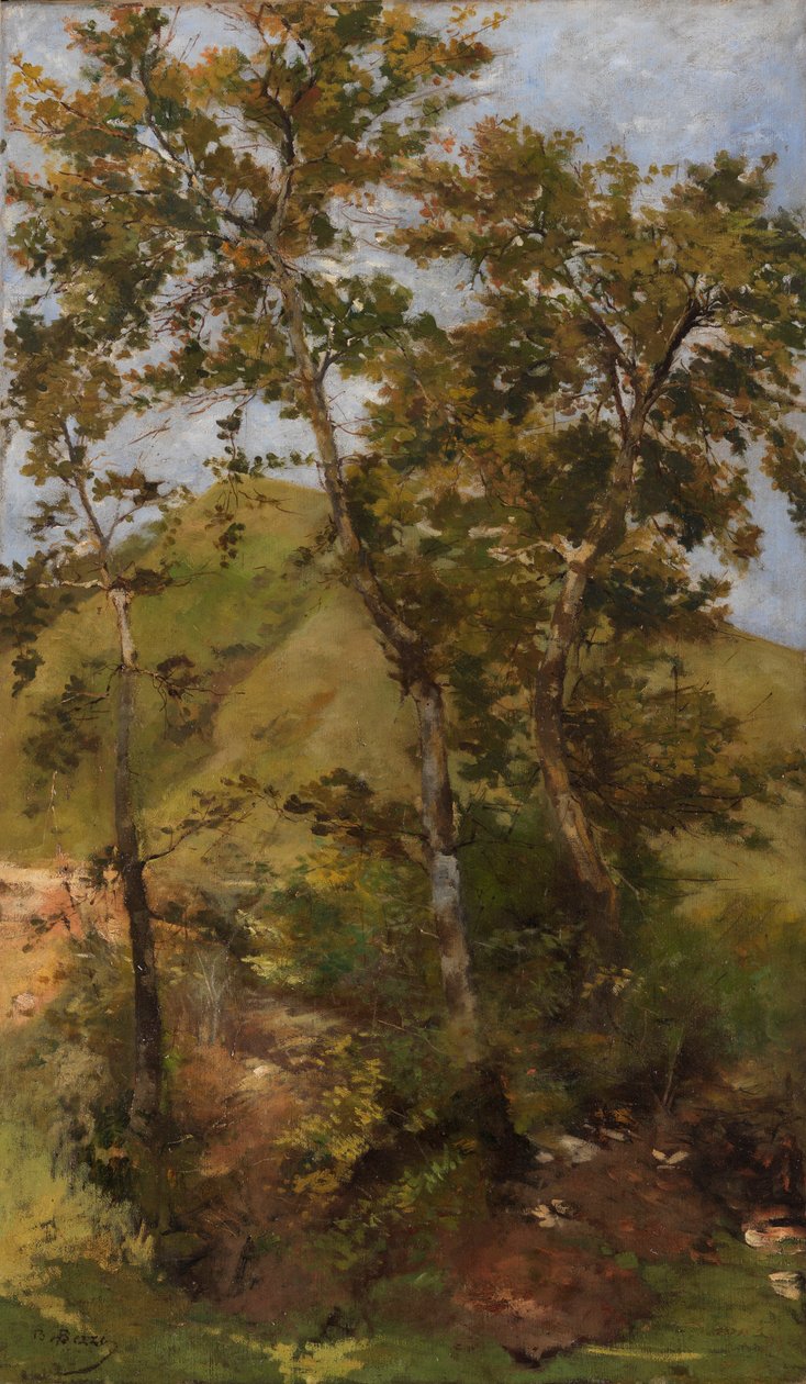 Brook Brook af Bartolomeo Bezzi