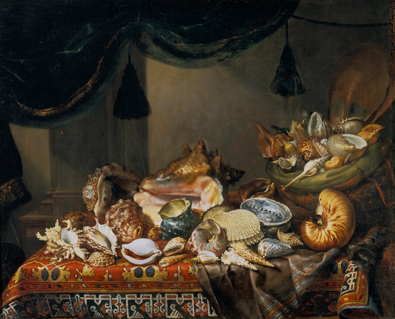 Stilleben med skaller af Bartolomeo Bimbi