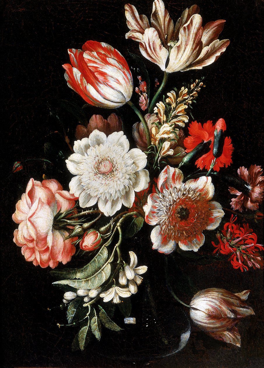 Blomster af Bartolomeo Ligozzi