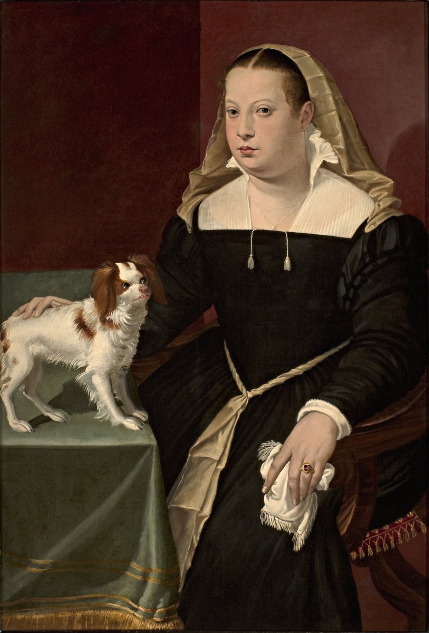 Portræt af en dame med en lille hund af Bartolomeo Passarotti