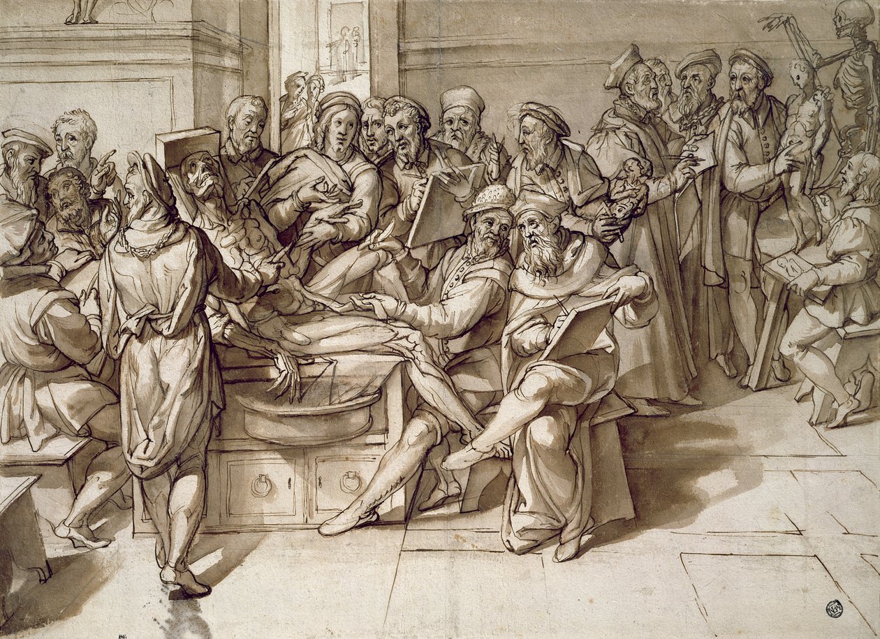 Anatomilektionen (pen og blæk) af Bartolomeo Passarotti