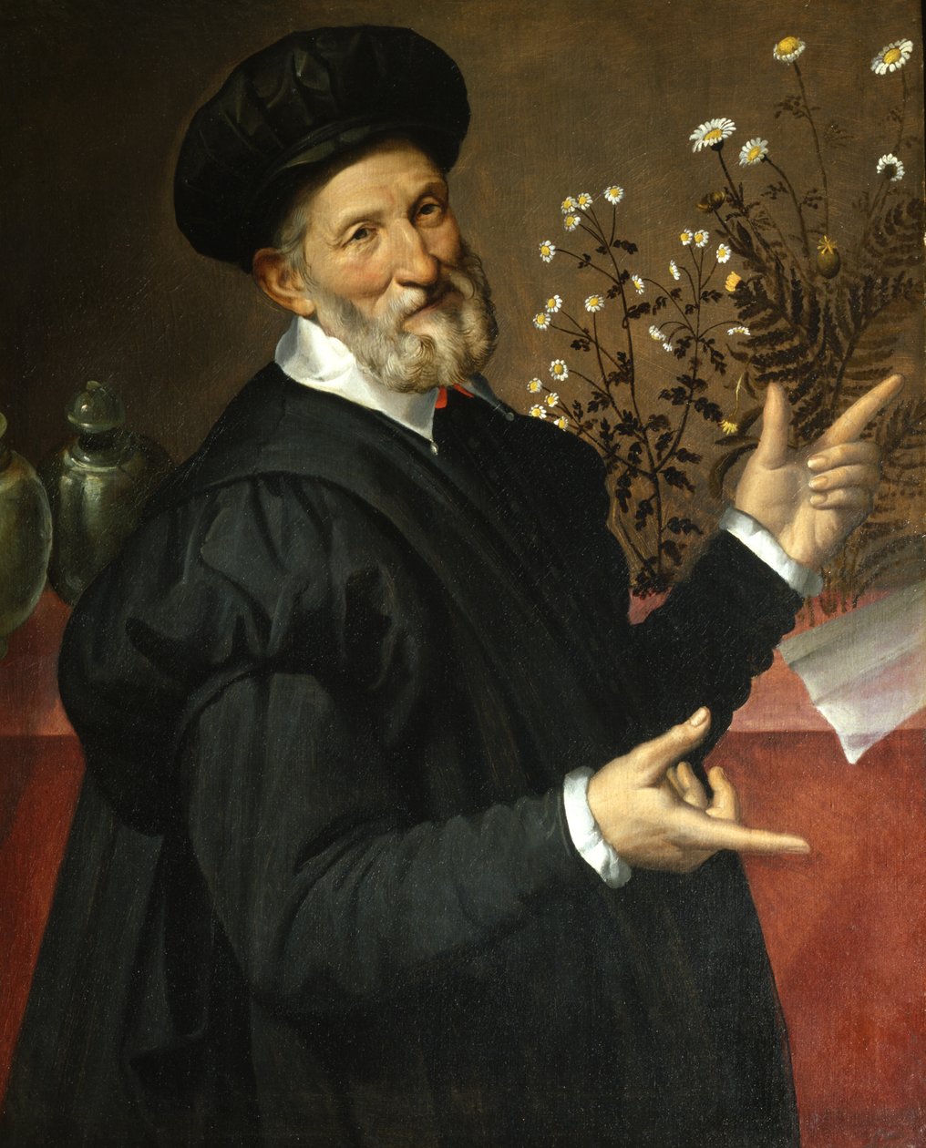 Botanikeren, 1570 af Bartolomeo Passarotti