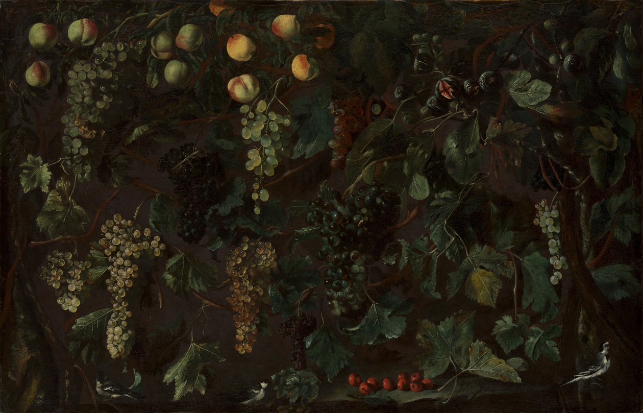 Vindruer og frugt, med tre vipstjerter, ca. 1615-18. af Bartolomeo Cavarozzi