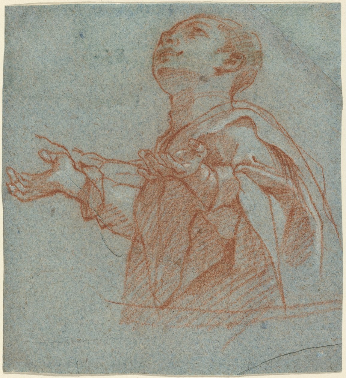 En dreng, der stirrer opad i tilbedelse af Bartolomeo Cesi