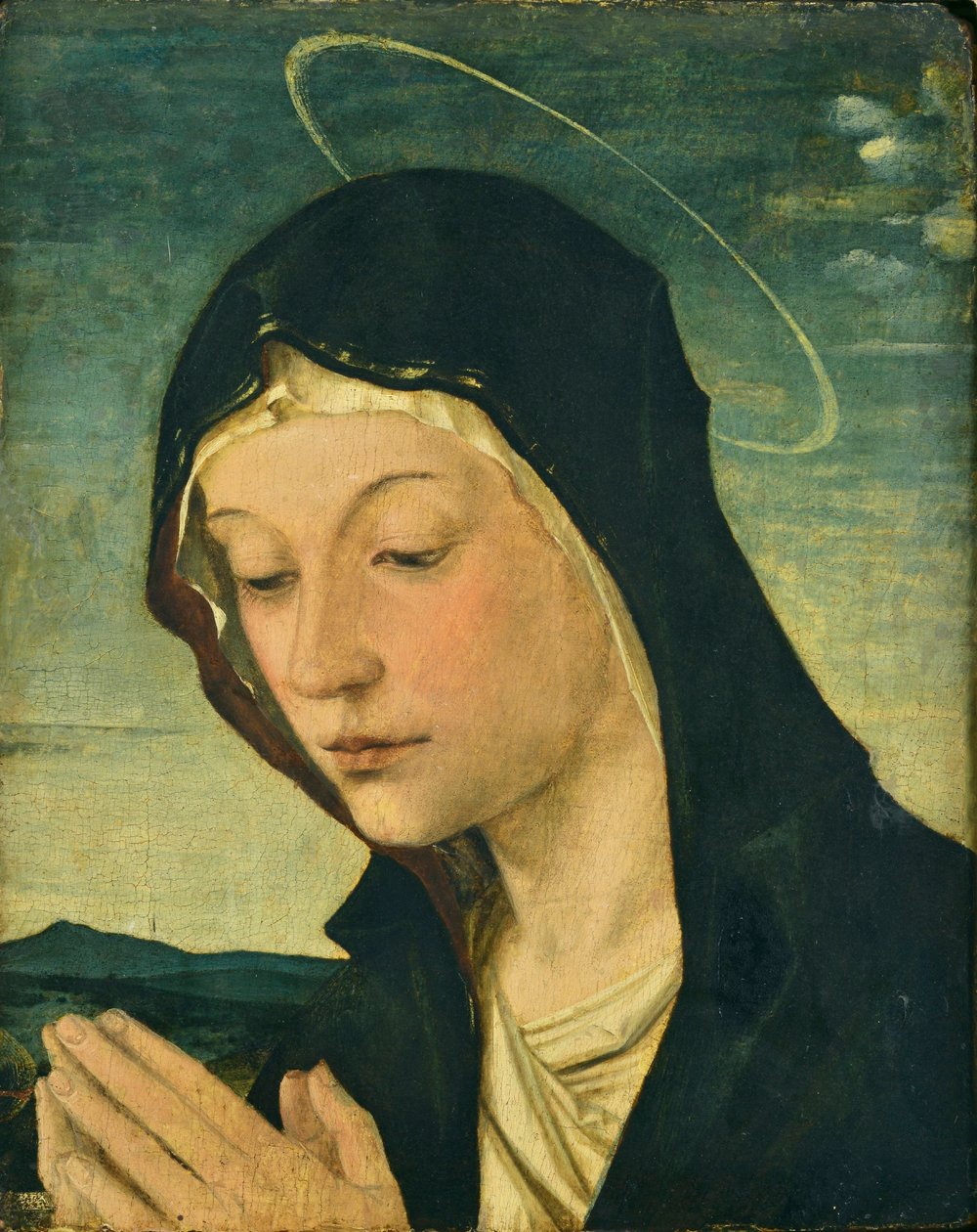 Hoved og hænder af en tilbedende madonna (fragment), ca. 1477-78 (tempera på poppeltræ) af Bartolomeo Montagna