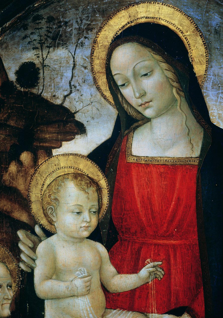 Madonna og barn (detalje) af Bartolomeo Montagna