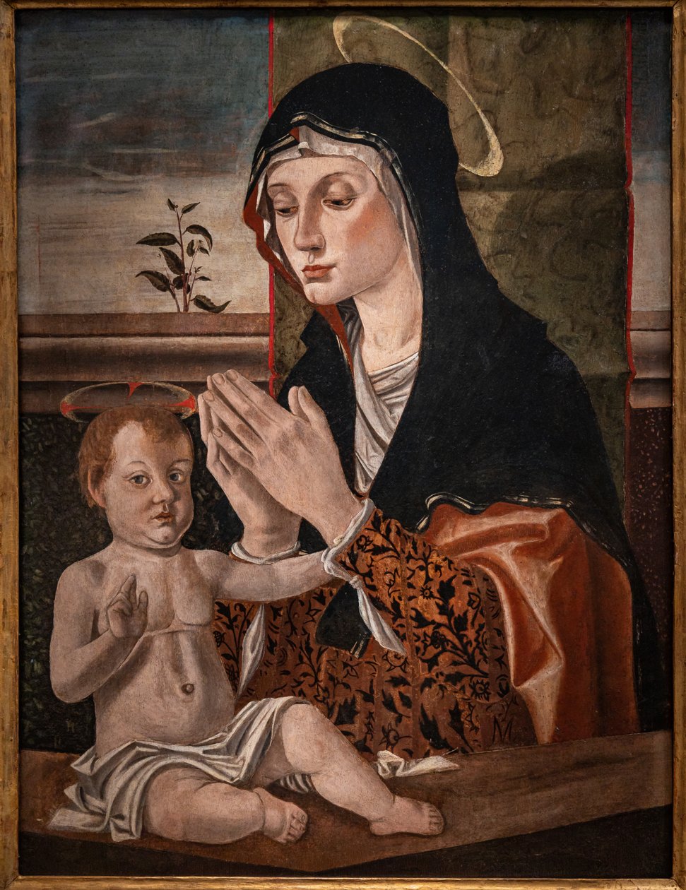 Madonna med spædbarnet Jesus af Bartolomeo Montagna