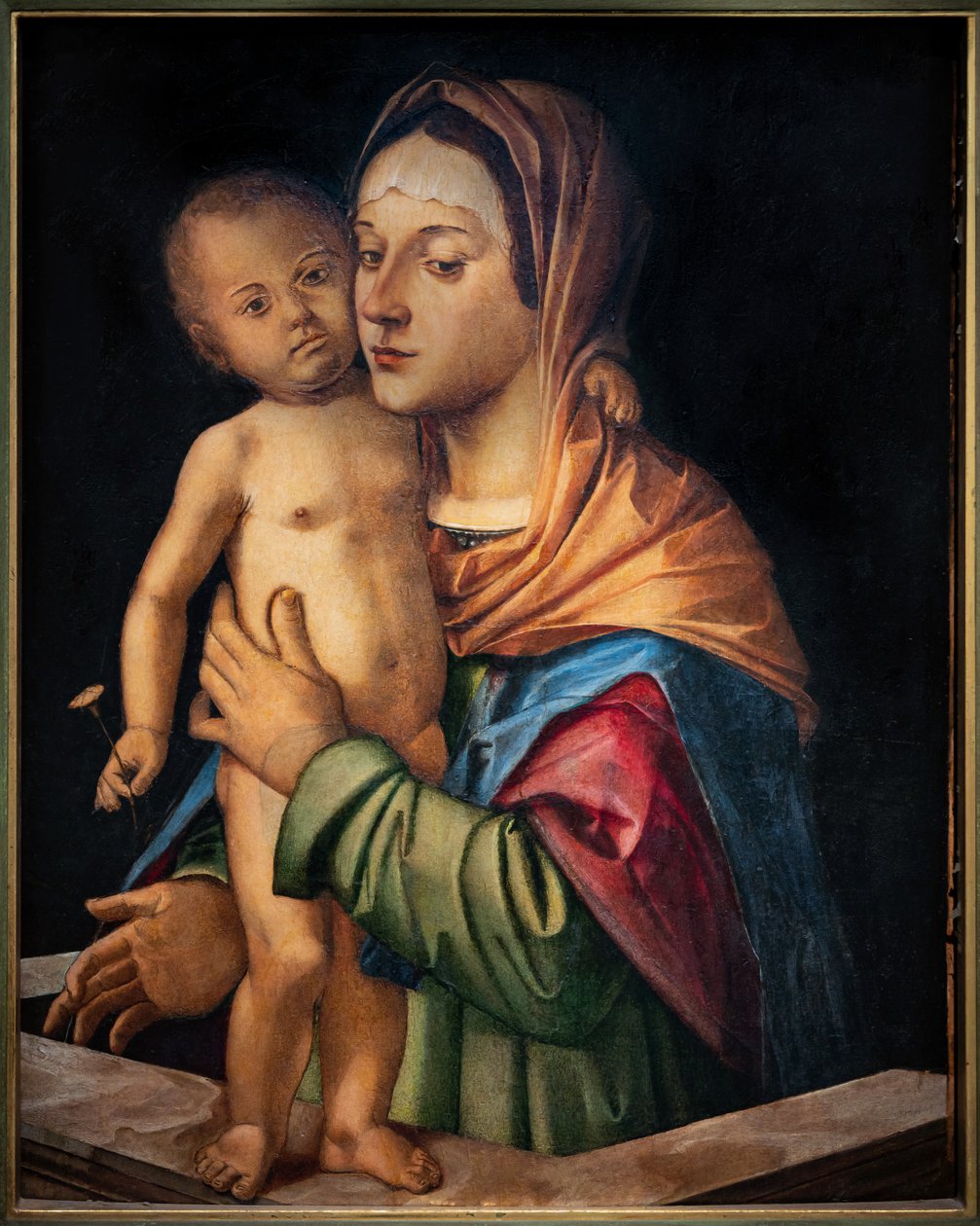 Madonna med spædbarnet Jesus stående på en balustrade, begyndende 1500-tallet (olie på panel) af Bartolomeo Montagna