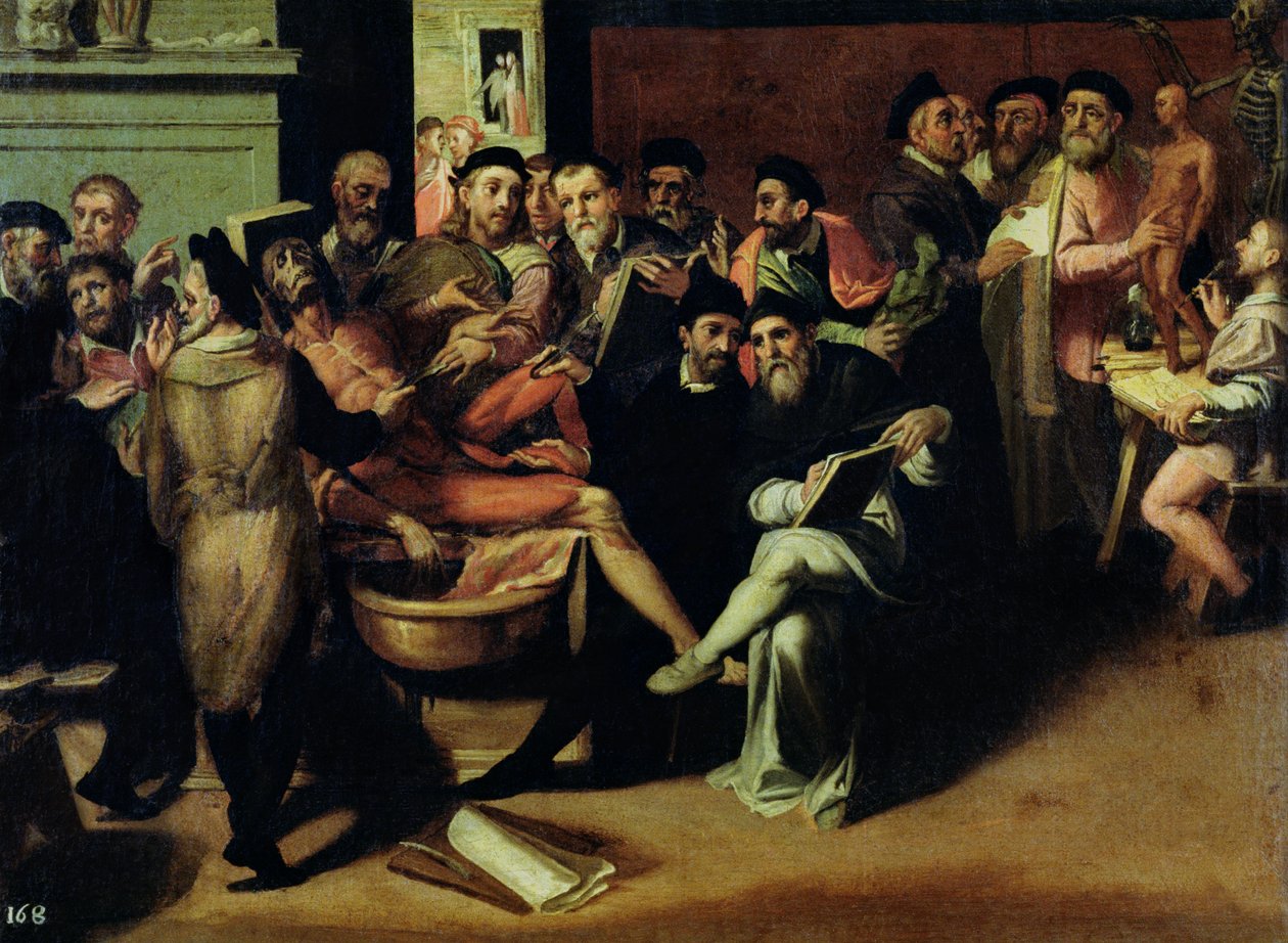 En anatomi-lektion for kunstnere af Bartolomeo Passarotti