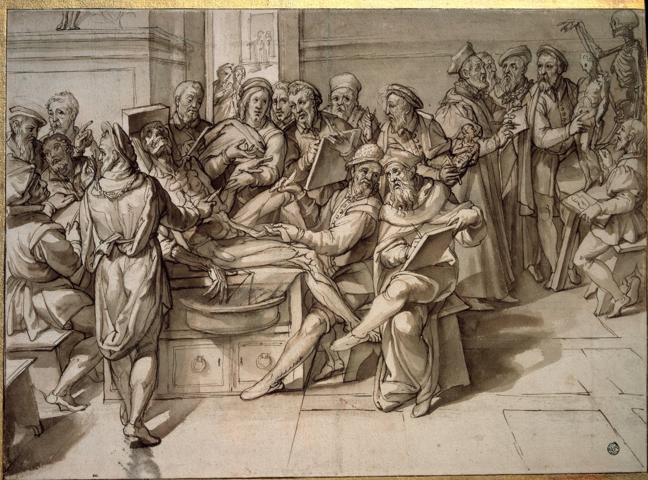 Anatomi foredrag givet af Michelangelo Buonarroti dit Michelangelo (Michelangelo eller Michel Ange af Bartolomeo Passarotti