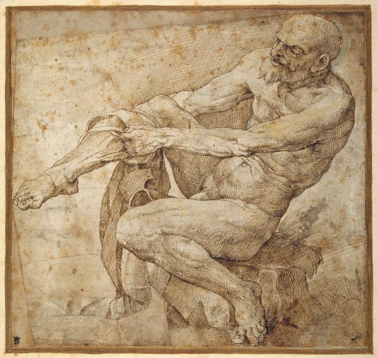 Nøgen mand trækker på sin slange efter Marcantonio Raimondi og Michelangelo Buonarroti (pen og brunt blæk på papir) af Bartolomeo Passarotti
