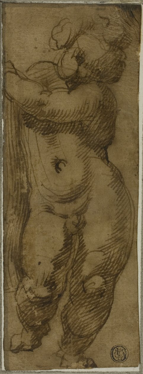 Stående Putto set forfra: Study for the Virgin in Glory med de hellige Petronius, Dominic og Peter Martyr af Bartolomeo Passarotti