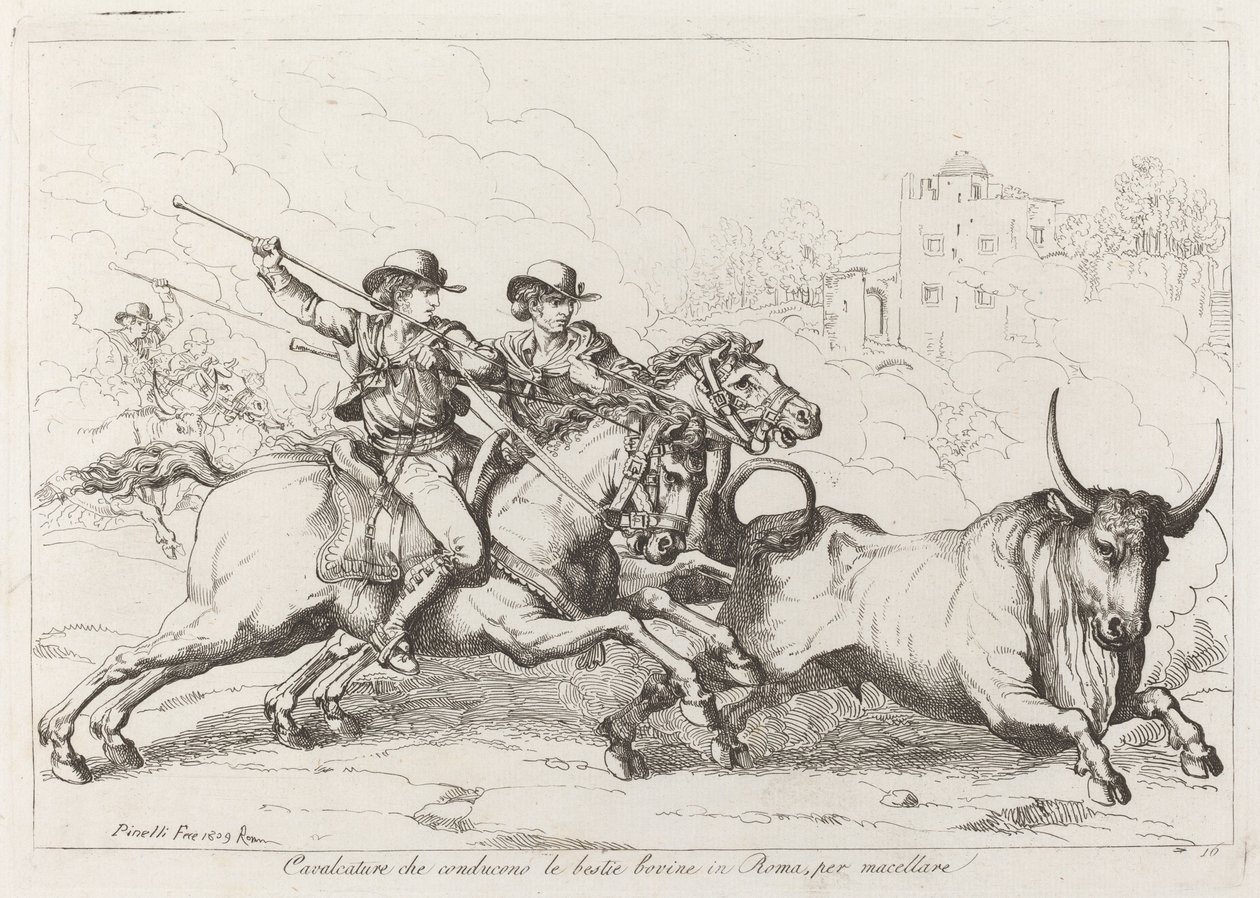Kvæg drevet til slagtning i Rom (plade 16) af Bartolomeo Pinelli