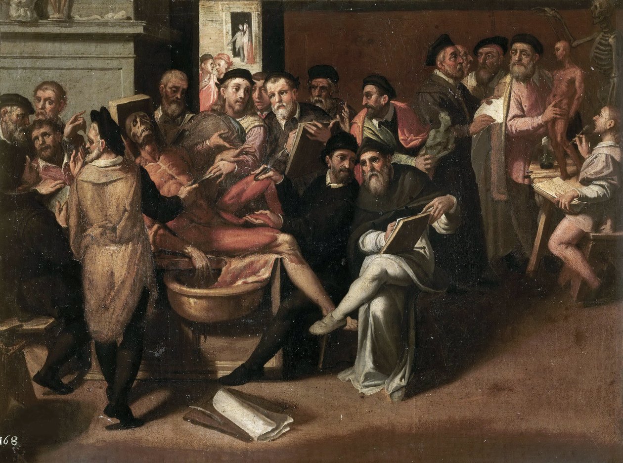 Anatomi lektionen af Passerotti, Bartolomeo (1529-1592). Olie på lærred. Galleria Borghese, Rom af Bartolommeo Passerotti