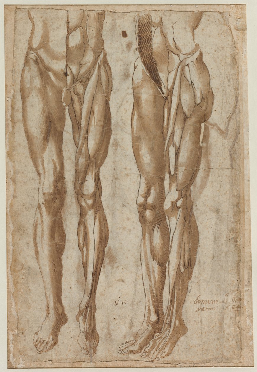 To studier af en flået mand (recto) af Bartolommeo da Arezzo