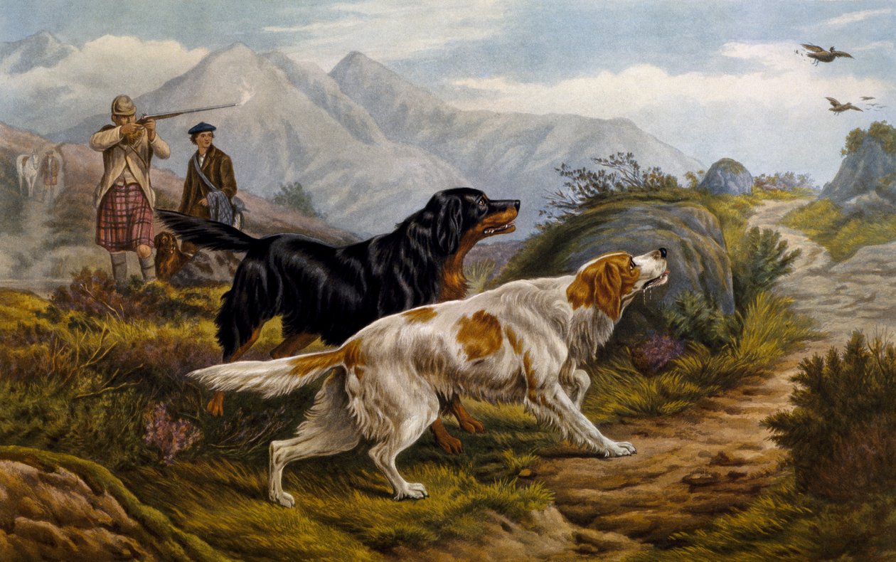 Rypejagt af Basil Bradley