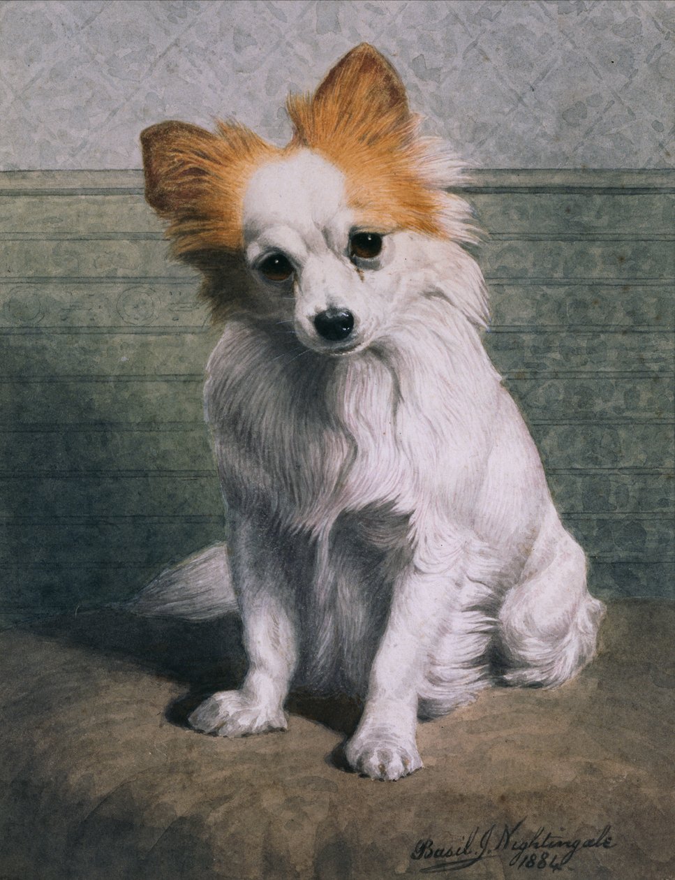 Legetøjshund af Basil J. Nightingale