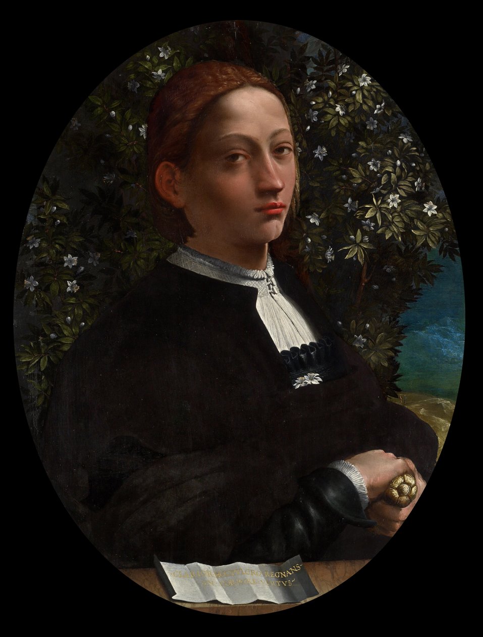 Lucrezia Borgia, hertuginde af Ferrara af Battista Dosso