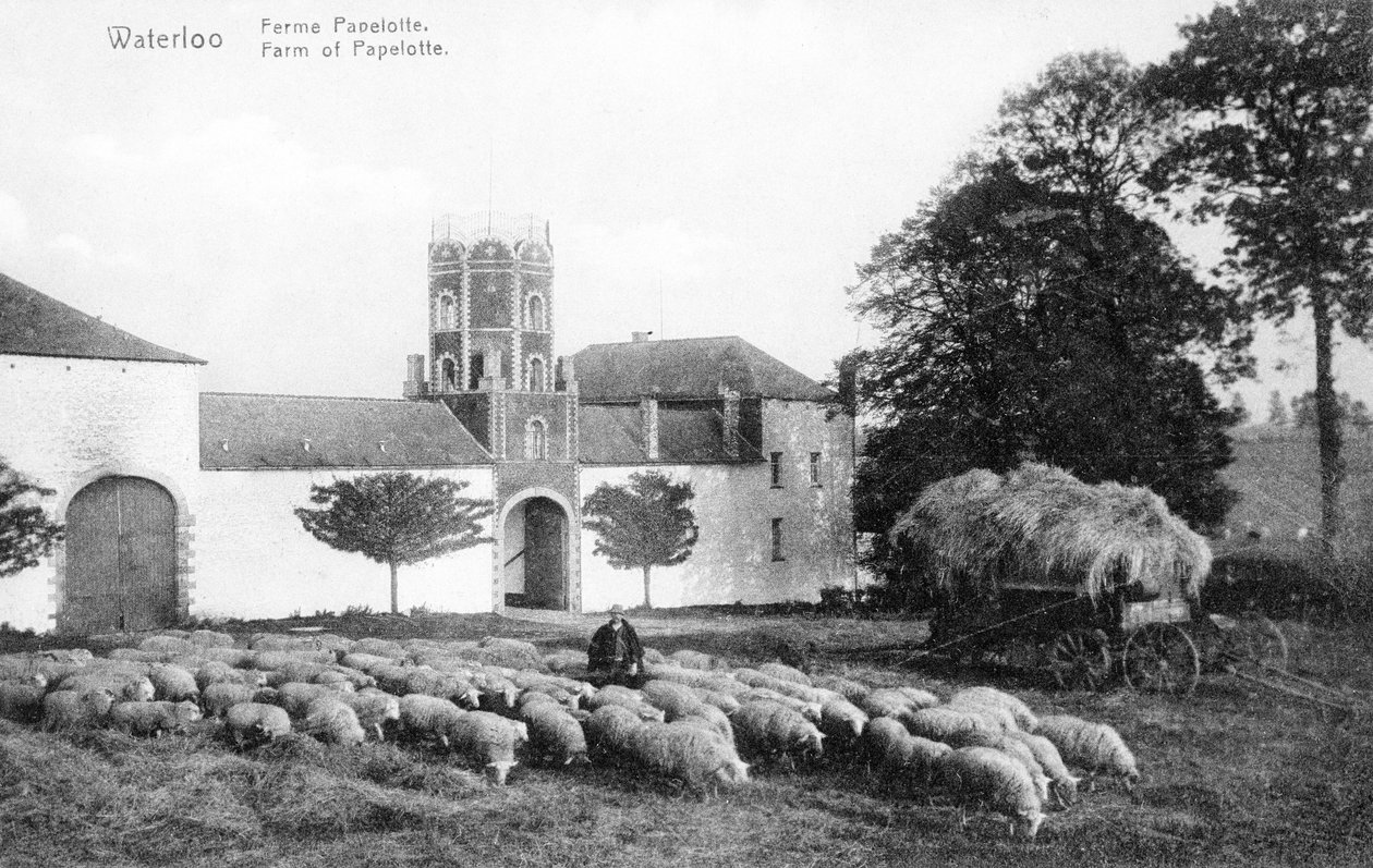 Gården Papelotte, et vigtigt strategisk sted for Wellington under slaget ved Waterloo, postkort, ca. 1912 (fotolitho) af Belgian Photographer