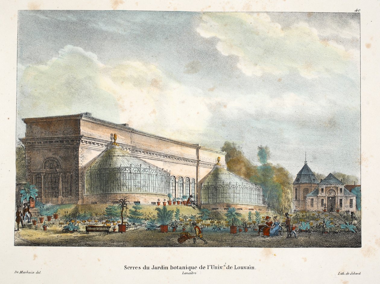 Drivhuse i den botaniske have ved universitetet i Louvain, ca. 1895 (fotokrom) af Belgian School