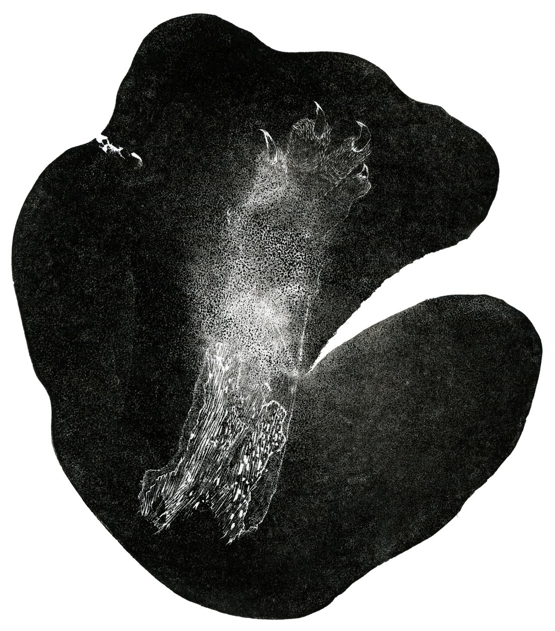 Clawfoot, 2014 (trægravering på papir) af Bella Larsson