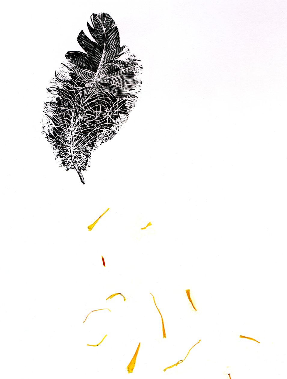 Feather {Fay-erie Dust}, 2014 (trægravering og plantefragmenter på papir) af Bella Larsson