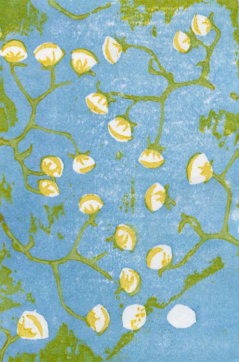 Fluffy Seedheads, 2012 (træblok på washi) af Bella Larsson