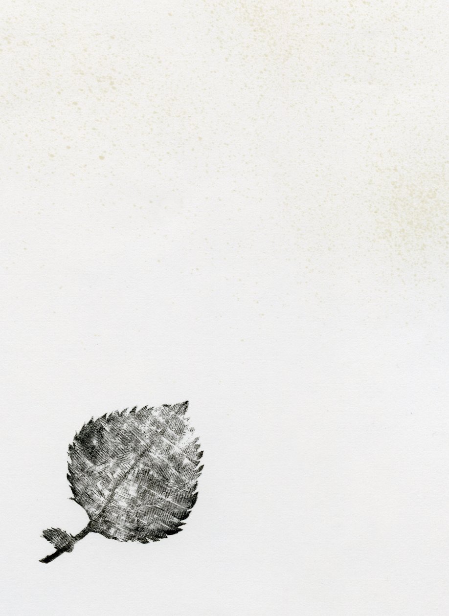 Blad {Fay-erie Dust}, 2014 (trægravering og blæk på papir) af Bella Larsson