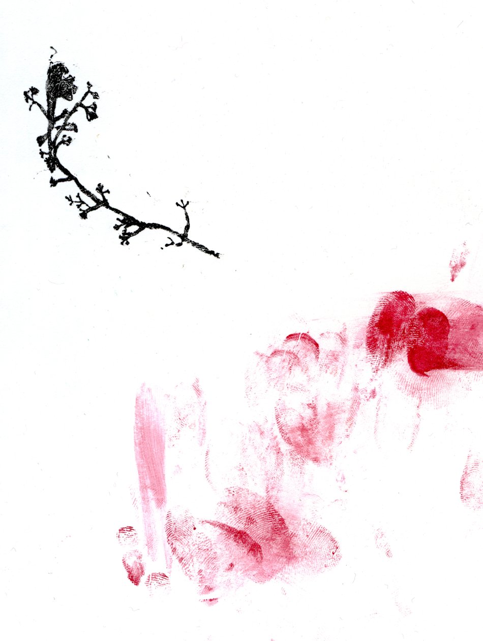 Lichen {Fay-erie Dust}, 2014 (Xylografi og vand farve på papir) af Bella Larsson