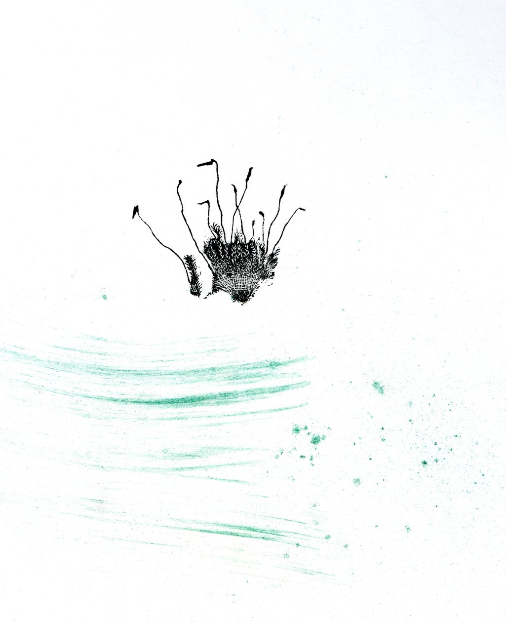 Moss {Fay-erie Dust}, 2014 (trægravering og pigment på papir) af Bella Larsson
