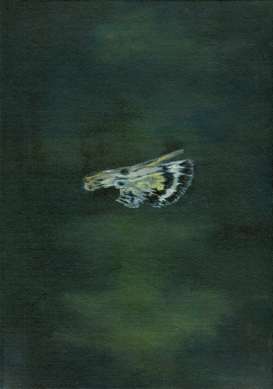 Moth Wing, 2014, af Bella Larsson